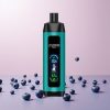 Aivono AIM FATPRO 22000 Puffs Disposable Vape Blåbær Gun med 0%,2%,3%,5% Nikotin og 28ml E-væske