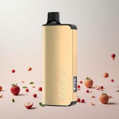 Alibarbar Ingot 9000 Puffs Engangs Vape Kølig Mynte med 22ml E-væske og 2350mAh Batteri