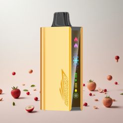 JNR Cruiser 12000 Puffs No-Charge Disposable Vape Kølig Mynte med 3500 mAh Batteri og 25ml E-væske