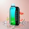 JNR Flex Ice 21000 Puffs Engangs Vape Kiwi Vandmelon Is Ice Justerbar 26ml E-væske