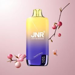 JNR Rainbow 10500 Puffs Disposable Vape Kirsebærblomst-Vin & 18ml e-Liquid Tank