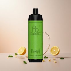 RandM Fumot Shisha 10000 Puffs Disposable Vape Citron Mynte LED-indikator Type-C-port